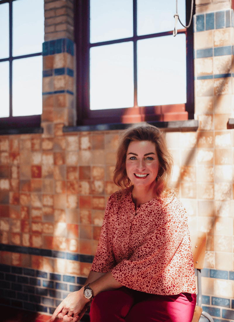 verzekeringen overzicht